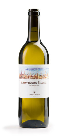 Sauvignon Blanc 2023
